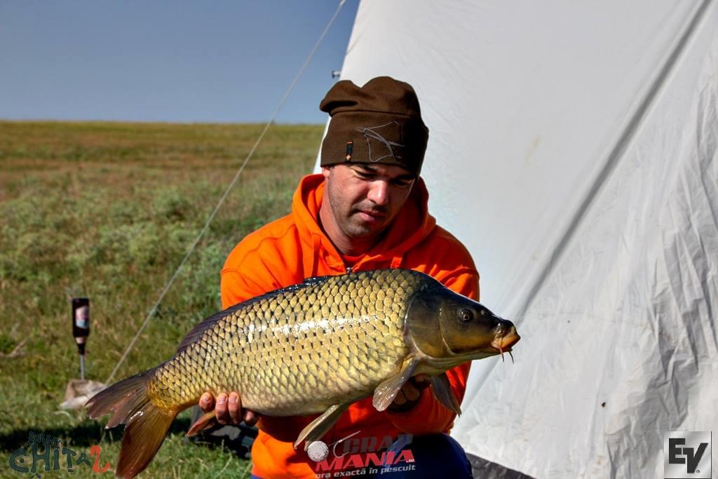 Chita 2 23 - 24 iunie 2018 - 5.jpg